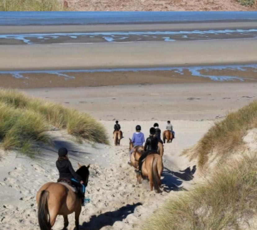 شقة Joie De Vivre Le Touquet المظهر الخارجي الصورة